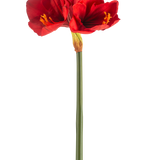 De Kunstbloem Amaryllis Real Touch rood 66 cm heeft een enkele groene steel met twee grote, levendige rode bloemen en gele meeldraden, tegen een effen witte achtergrond.