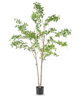 De Kunstplant Mahonia 150 cm is een hoge kunstboom in pot met meerdere dunne bruine stammen en weelderige groene bladeren, gepresenteerd in een eenvoudige zwarte pot tegen een effen witte achtergrond.