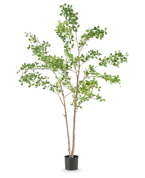 De Kunstplant Mahonia 150 cm is een hoge kunstboom in pot met meerdere dunne bruine stammen en weelderige groene bladeren, gepresenteerd in een eenvoudige zwarte pot tegen een effen witte achtergrond.