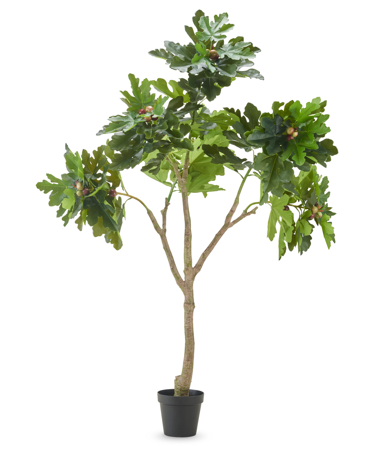 De Kunstplant Ficus Carica vijgenboom 210 cm heeft meerdere takken, weelderige groene bladeren en verschillende onrijpe vijgen tegen een effen witte achtergrond.
