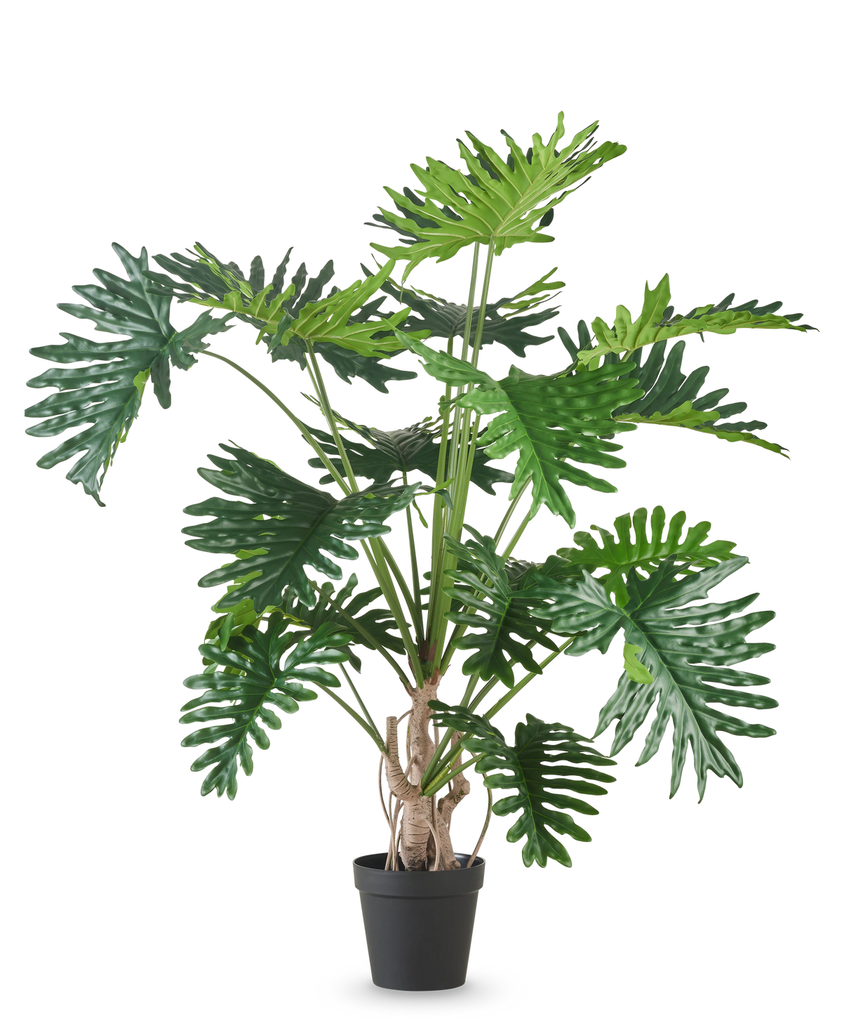 De Kunstplant Philodendron 180 cm heeft grote, glanzende, diep gelobde groene bladeren en is afgebeeld tegen een effen witte achtergrond.