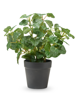 Kunst Laurier in pot UV 43 cm
