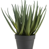 De Kunstplant Aloë 46 cm heeft lange, puntige groene bladeren en wordt geleverd in een eenvoudige donkergrijze pot, tegen een effen witte achtergrond.