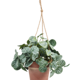 De Kunstplant Rugose blad 29 cm grijs in hangpot heeft ronde, gedessineerde groene bladeren en hangt in een pot aan een tan touw tegen een effen witte achtergrond.