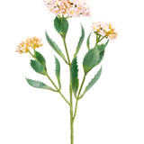 De Kunstbloem Kalanchoë 47 cm roze heeft een enkele groene stengel met drie trossen kleine, lichtroze en perzikkleurige bloemen en langwerpig gekarteld groen blad, geïsoleerd op een witte achtergrond.