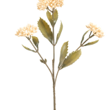 De Kunstbloem Kalanchoë 47 cm creme heeft een enkele kunststengel met drie trossen kleine, licht crème bloemen en groen gekartelde bladeren, tegen een effen witte achtergrond.