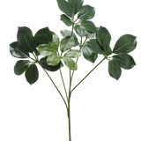 De Kunsttak Schefflera 50 cm FR heeft een enkele stengel met meerdere trossen brede, donkergroene bladeren en enkele lichtere groene bladeren, tegen een witte achtergrond.