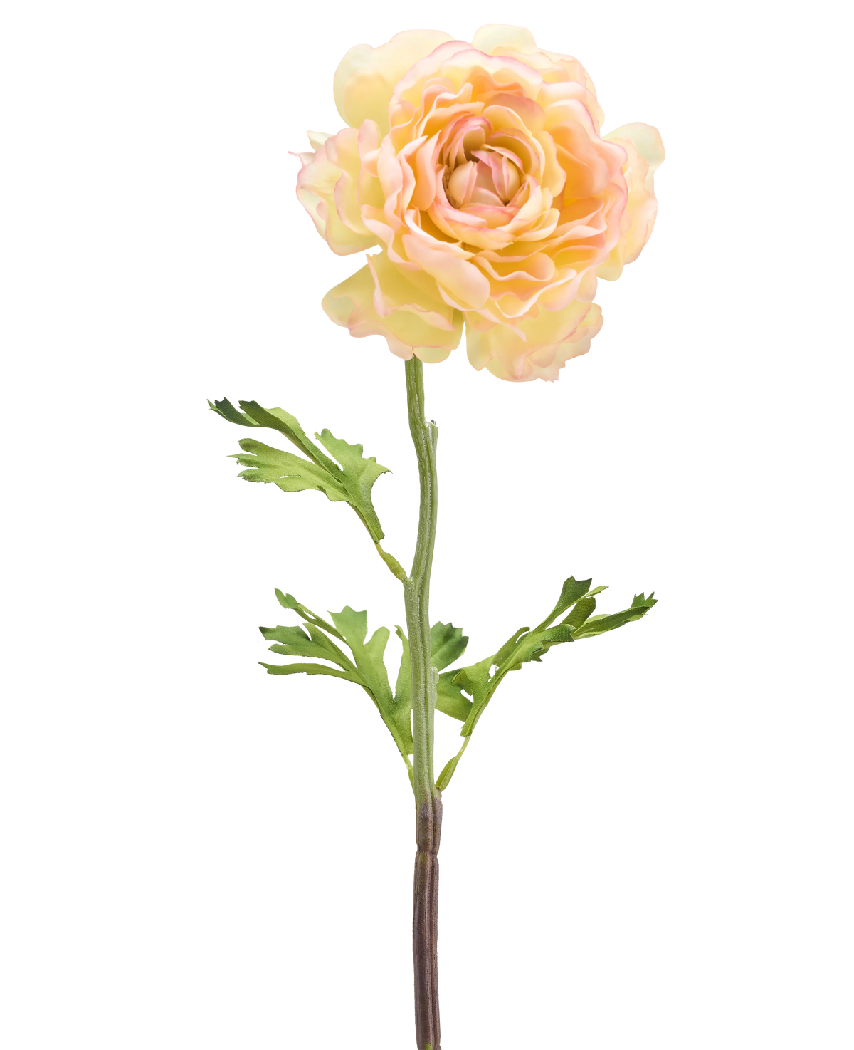 Een Kunstbloem Ranonkel 51 cm licht wit: een enkele bleke kunst ranonkelbloem met lichtwitte bloemblaadjes, groene bladeren en een lange steel tegen een witte achtergrond.