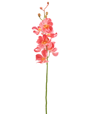 De Kunstbloem Orchidee 55 cm roze heeft een enkele steel met levendige roze orchidee bloemen met meerdere open bloemen en knoppen, tegen een effen witte achtergrond.
