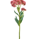 De Kunstbloem Dianthus 55 cm lila heeft een enkele groene stengel met gekartelde bladeren en trosjes kleine, lila bloemen aan de bovenkant, tegen een effen witte achtergrond.