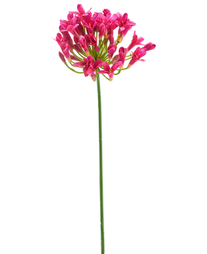 Een enkele lange groene steel van de Kunstbloem Celematis 78 cm wit toont een cluster van levendige witte bloemen bloeiend aan de top, tegen een effen witte achtergrond.