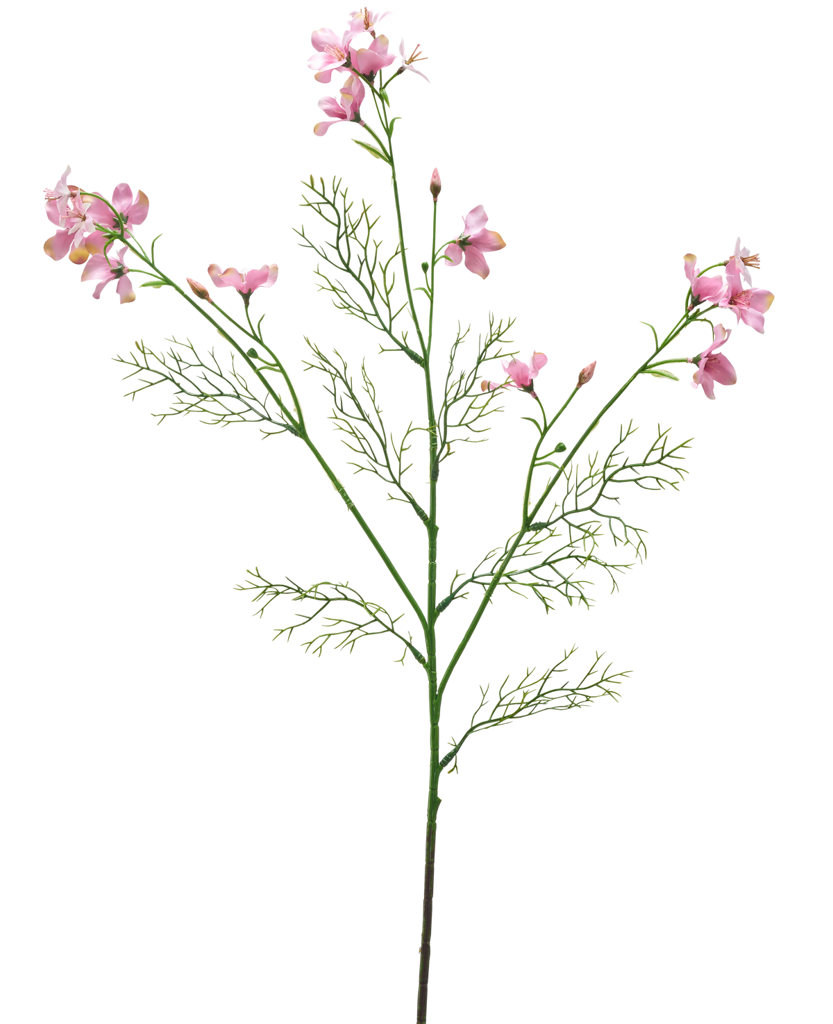 De Kunstbloem Wilde Delphinium 71 cm lichtroze heeft een enkele groene stengel met vederlichte blaadjes en verschillende trosjes tere lichtroze bloemen tegen een effen witte achtergrond.