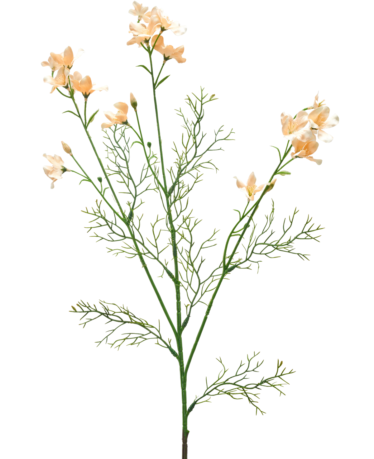 De Kunstbloem Wilde Delphinium 71 cm licht crème heeft een delicate kunststengel met licht crèmekleurige bloemen en fijne, vederlichte groene bladeren, tegen een effen witte achtergrond.