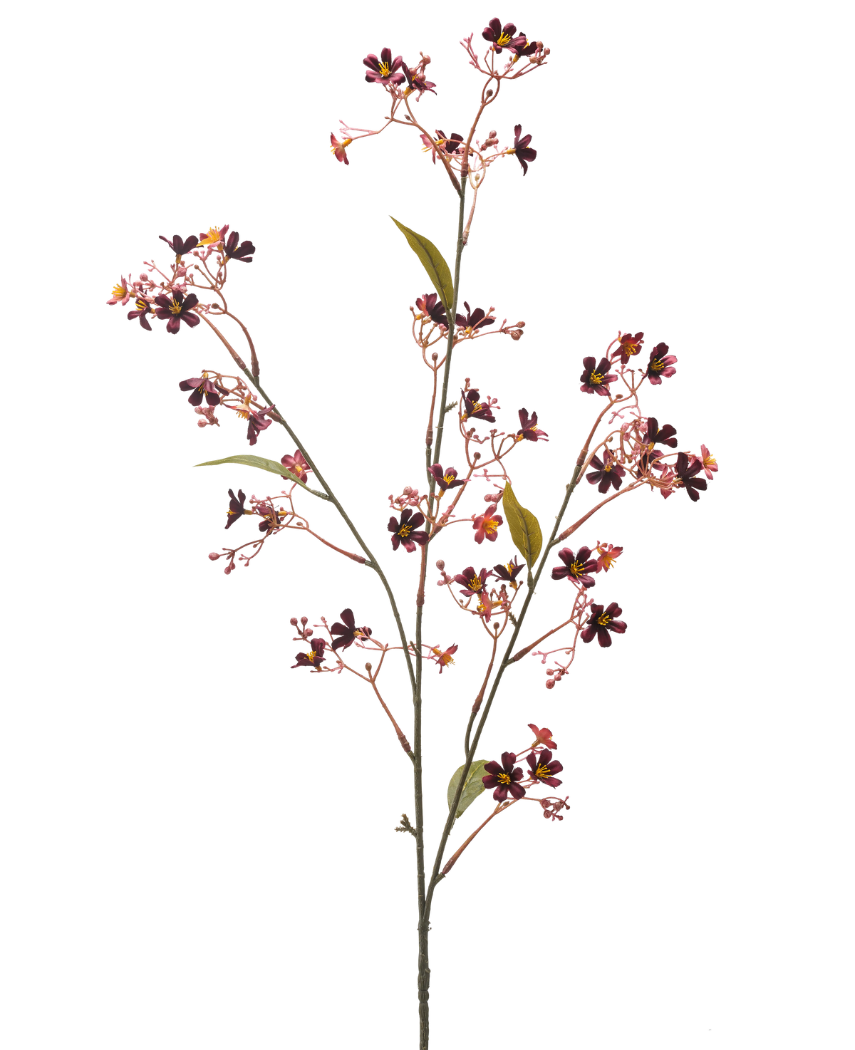 De Kunstbloem Daphne 108 cm bordeaux heeft een enkele stengel met meerdere dunne takken, kleine donkerpaarse en roze bloemen met een geel hart en een paar groene bladeren tegen een effen witte achtergrond.