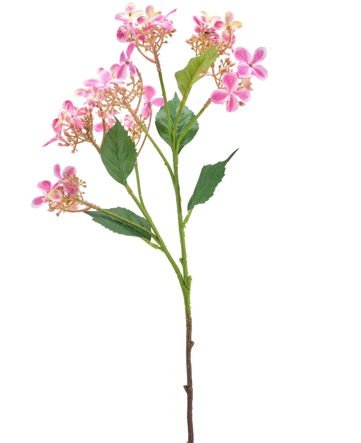 De Kunstbloem Wilde Hortensia 62 cm roze heeft een enkele stengel met verschillende trossen kleine roze en witte bloemen en groene bladeren, geïsoleerd op een witte achtergrond.