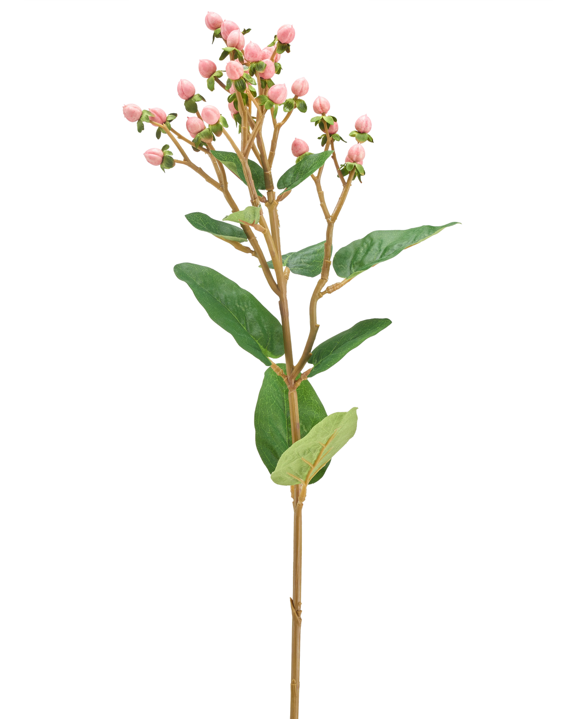 De Kunstbloem Hypericum 65 cm roze heeft trosjes kleine roze bloemknoppen en groene bladeren op een lange, slanke bruine stengel, tegen een effen witte achtergrond.