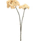Twee hoge Kunstbloem Sedums van 70 cm met cremekleurige stelen met groenbruine stengels en trossen cremekleurige, stekelige pomponbloemen worden getoond tegen een effen witte achtergrond.