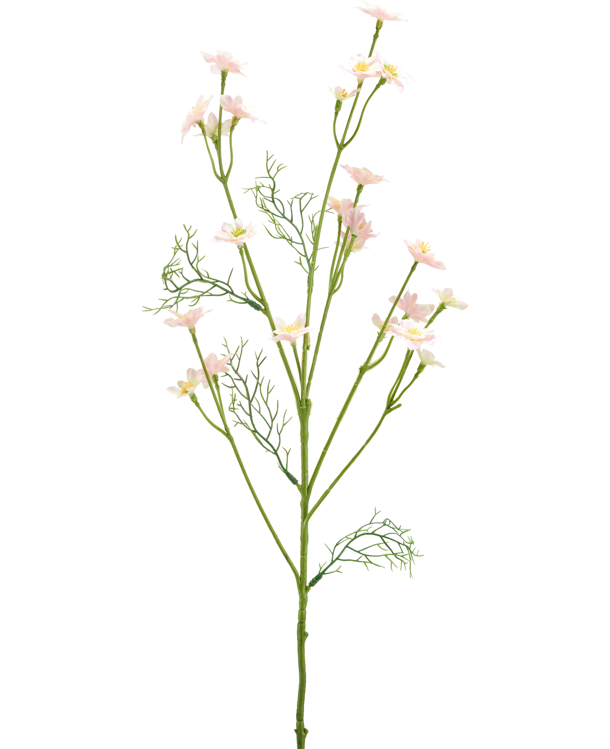 De Kunstbloem Wilde Bloem 68 cm lichtroze heeft een enkele groene steel met vederlichte bladeren en meerdere takken versierd met kleine, lichtroze bloemen, tegen een effen witte achtergrond.