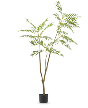 De Kunstplant Terminalia Catappa 180 cm is een hoge kunstplant met slanke groene bladeren en meerdere lange takken, in een kleine zwarte pot tegen een effen witte achtergrond.