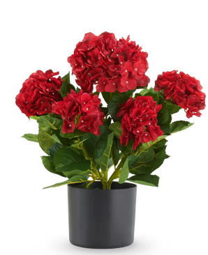 Kunst Hortensia UV 50 cm rode kunsthortensia in een zwarte pot.
