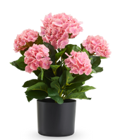 Kunstplant Hortensia UV, 50 cm, lichtroze, in een zwarte pot.