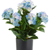 Kunstmatige blauw-witte Hortensia UV van 50 cm in een zwarte pot.