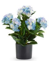 Kunstmatige blauw-witte Hortensia UV van 50 cm in een zwarte pot.