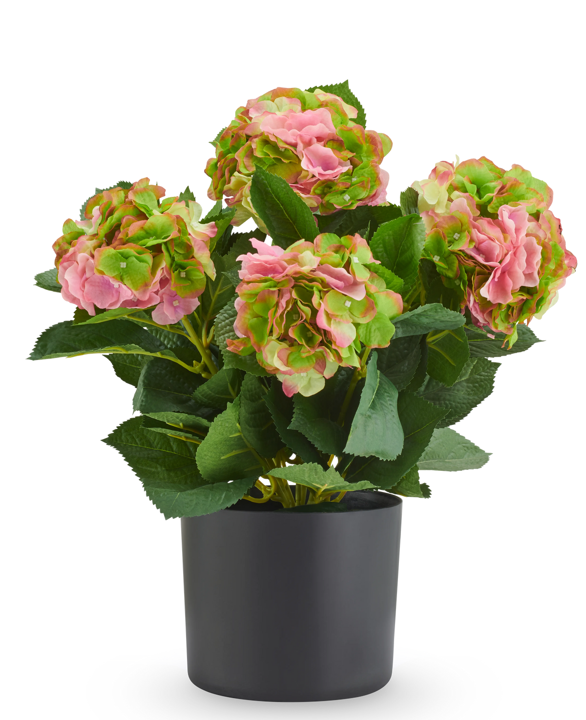Kunst Hortensia UV 50 cm roze/groen kunstplant met roze en groene bloemen in een zwarte pot, ideaal als UV-bestendige kunstbloemen.