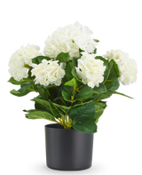 Kunst Hortensia UV 50 cm wit, een kunstmatige witte hortensia in een zwarte pot.