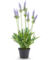 Kunstplant Lavendel 43 cm met paarse bloemtrossen en groene bladeren in een zwarte pot.