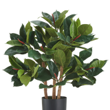 Kunstplant Rubberficus van 75 cm met grote, donkergroene bladeren en kleine rode knoppen in een zwarte pot.