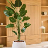Een kunstplant Strelitzia van 210 cm met een realistische uitstraling, in een witte pot, staat voor lichte houten inbouwplanken en kasten in een moderne, minimalistische woonruimte. Deze stijlvolle, onderhoudsvriendelijke kunstplant geeft de ruimte een realistische en onderhoudsvriendelijke uitstraling.