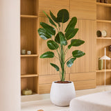 Een Kunstplant Strelitzia van 210 cm met Real Touch-afwerking staat prominent in een moderne woonkamer met lichte houten planken, een minimalistische inrichting en neutrale meubels. Deze onderhoudsvriendelijke plant heeft een Real Touch-afwerking voor een levensechte uitstraling en versterkt de stijlvolle en rustige sfeer van de ruimte.