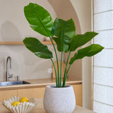 De Kunstplant Strelitzia Nicolai Deluxe 90 cm met zijn grote groene bladeren staat op een lichtgekleurd keukenblad naast een golvende schaal vol gele citroenen, wat een tropische sfeer in de ruimte brengt. Op de achtergrond maken een gootsteen en een minimalistische inrichting het geheel compleet.