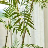 Een close-up van de Kunstplant Mahonia 150 cm, waarbij de slanke, puntige groene bladeren goed tot hun recht komen tegen een zacht verlichte achtergrond met doorschijnende gordijnen.