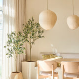 Een lichte, minimalistische eethoek is ingericht met twee stoelen van licht hout, een kleine tafel, papieren lantaarns en de Kunst Olijfboom van 180 cm, die voor een vleugje mediterrane stijl zorgt. Kamerbomen in potten, doorschijnende beige gordijnen en zonlicht dat door de grote ramen naar binnen stroomt, maken deze rustgevende ruimte compleet.