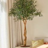 Een kunstolijfboom van 190 cm met een slanke stam en dichtgroen blad staat in een pot bij het raam met doorschijnende gordijnen, naast een bank met gele en beige kussens in een lichte, minimalistische kamer. Deze onderhoudsvriendelijke kunstolijfboom voegt stijl toe zonder extra verzorging.