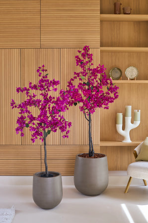 Twee Kunstplant Bougainvillea 150 cm Paars, met levendige roze en paarse bloemen, staan voor een houten wand met planken waarop decoratieve voorwerpen staan uitgestald, naast een lichtgekleurde stoel. Hun realistische kamerplantuitstraling geeft de ruimte een levendig en charmant tintje.