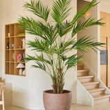 De Kunstplant Kentia-palm van 270 cm staat in een moderne, minimalistische woonruimte met lichte houten planken, een trap en neutraal gekleurde muren en vloeren.