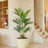 Een kunstplant, een Kentia-palm van 150 cm, staat op een lichte vloer in een moderne, minimalistische kamer met houten planken en een trap op de achtergrond.