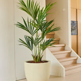 De Kunstplant Kentia-palm van 150 cm staat in een ruime pot op een lichte vloer bij een trap in een moderne, minimalistische kamer met neutrale muren en houten accenten.