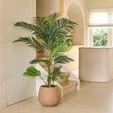 Een Kunstplant Phoenix van 160 cm staat op een lichte vloer in een moderne, minimalistische ruimte met zacht natuurlijk licht, gebogen architectonische elementen en neutrale tinten – een moeiteloze interieurupgrade die de charme van tropische planten naar binnen haalt.
