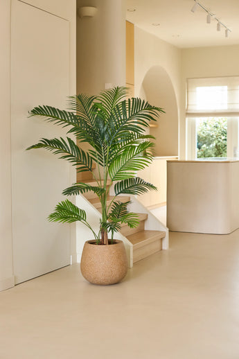 Een Kunstplant Phoenix van 160 cm staat op een lichte vloer in een moderne, minimalistische ruimte met zacht natuurlijk licht, gebogen architectonische elementen en neutrale tinten – een moeiteloze interieurupgrade die de charme van tropische planten naar binnen haalt.