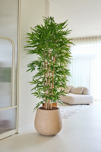 De Kunstplant Bamboe 210 cm staat in een lichte, moderne woonkamer met een beige bank, witte vitrages en een minimalistische inrichting.