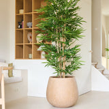 De Kunstplant Bamboe 180 cm, met zijn hoge gestalte en slanke groene bladeren, staat in een moderne, minimalistische kamer met lichte muren, open rekken en een neutrale inrichting.