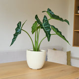 De Kunstplant Alocasia van 80 cm, met grote groene bladeren, staat op een lichte houten tafel in een minimalistische kamer met zachte verlichting en een neutrale inrichting.