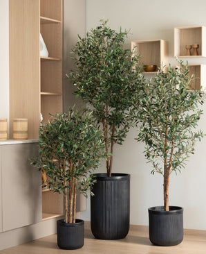 Drie Kunst olijfbomen 180 cm UV binnenbomen met groene bladeren in potten met zwarte structuur staan in een moderne kamer met houten planken en neutrale muren. Deze stijlvolle kunstplanten zijn UV-bestendig.