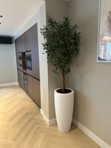 De Kunst olijfboom UV 160 cm, met levendige groene bladeren, staat in een witte plantenbak in de hoek van een moderne keuken met houten kastjes en een lichte visgraatvloer.