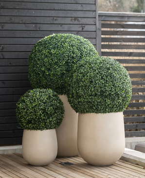 Drie Kunstplant Buxus romeinse stijl UV D40cm kunstheesters in grote beige potten staan op een houten terras, tegen een donkerhouten hek met horizontale latten.