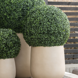 Drie grote Kunstplant Buxus romeinse stijl UV D55cm, met dicht, netjes gesnoeid groen gebladerte in witte ronde plantenbakken, zijn geplaatst op een houten terras met een modern houten latten hek op de achtergrond.